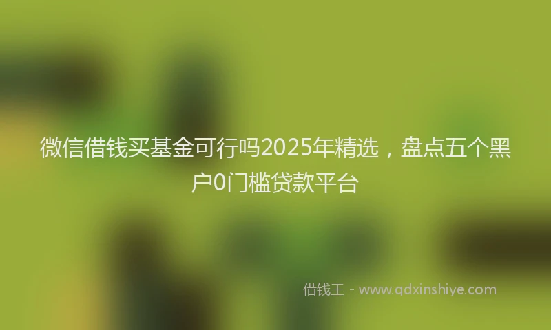 微信借钱买基金可行吗2025年精选，盘点五个黑户0门槛贷款平台