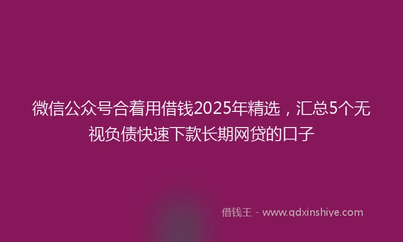 微信公众号合着用借钱2025年精选，汇总5个无视负债快速下款长期网贷的口子