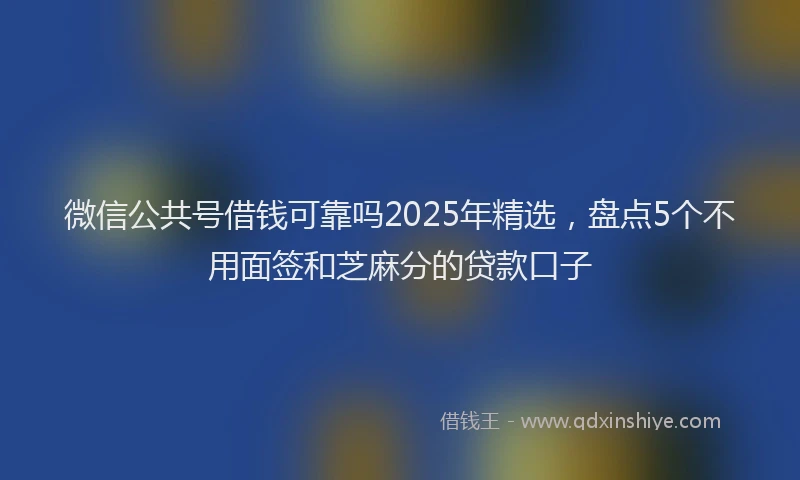 微信公共号借钱可靠吗2025年精选，盘点5个不用面签和芝麻分的贷款口子
