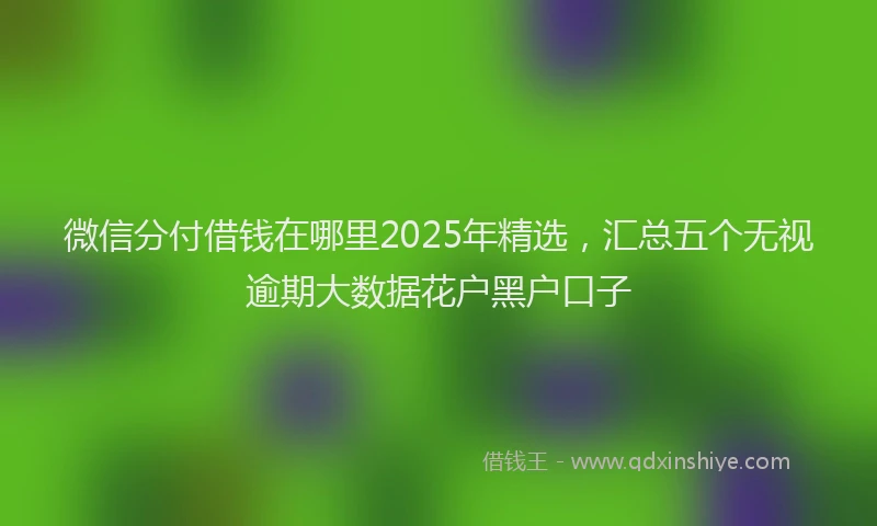 微信分付借钱在哪里2025年精选，汇总五个无视逾期大数据花户黑户口子