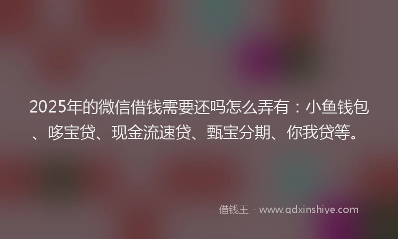 2025年的微信借钱需要还吗怎么弄有：小鱼钱包、哆宝贷、现金流速贷、甄宝分期、你我贷等。