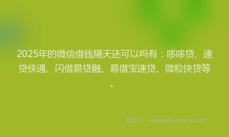 2025年的微信借钱隔天还可以吗有：哆哆贷、速贷侠通、闪借易贷融、易借宝速贷、微粒快贷等。