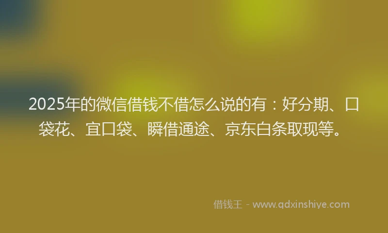 2025年的微信借钱不借怎么说的有：好分期、口袋花、宜口袋、瞬借通途、京东白条取现等。