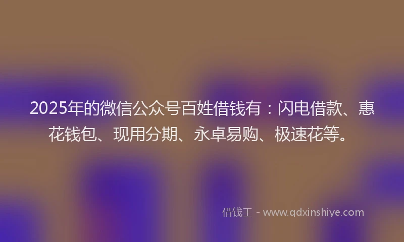 2025年的微信公众号百姓借钱有：闪电借款、惠花钱包、现用分期、永卓易购、极速花等。