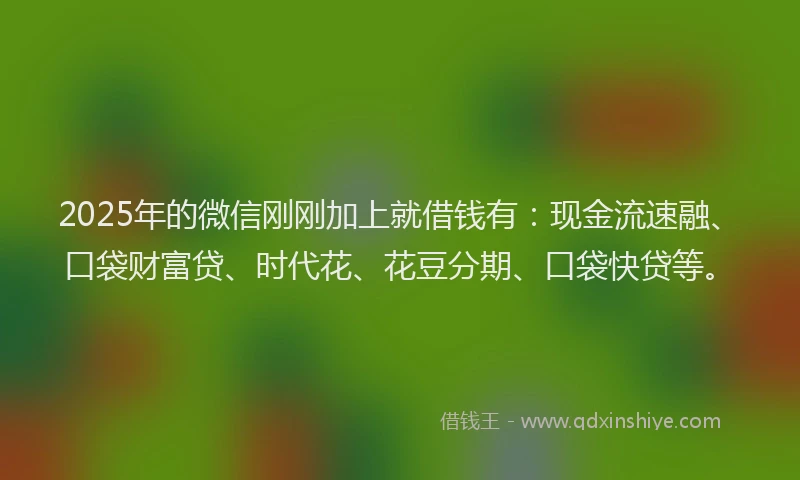 2025年的微信刚刚加上就借钱有：现金流速融、口袋财富贷、时代花、花豆分期、口袋快贷等。