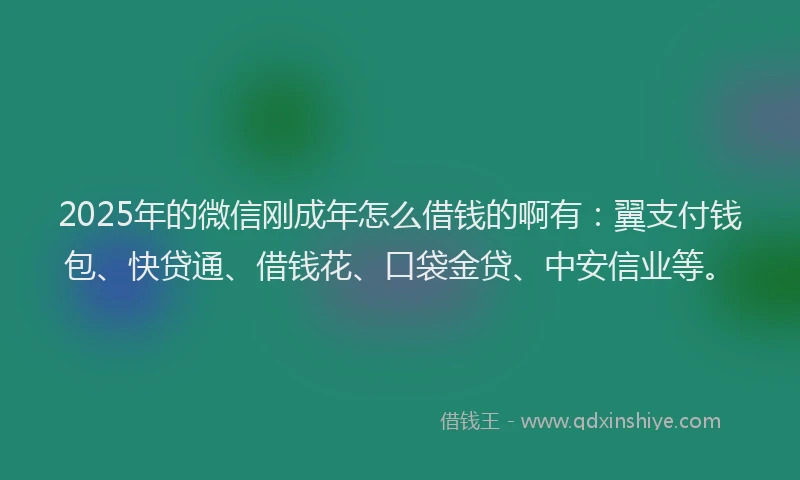 2025年的微信刚成年怎么借钱的啊有：翼支付钱包、快贷通、借钱花、口袋金贷、中安信业等。