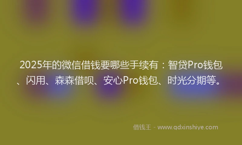 2025年的微信借钱要哪些手续有：智贷Pro钱包、闪用、森森借呗、安心Pro钱包、时光分期等。
