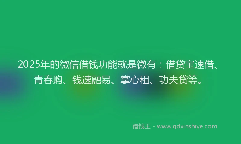2025年的微信借钱功能就是微有：借贷宝速借、青春购、钱速融易、掌心租、功夫贷等。