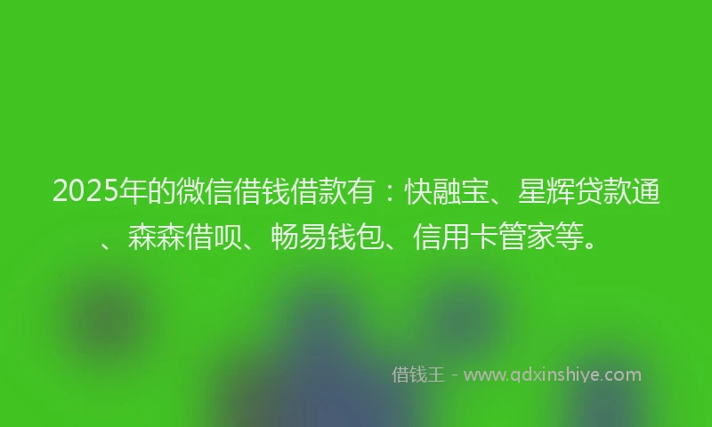 2025年的微信借钱借款有：快融宝、星辉贷款通、森森借呗、畅易钱包、信用卡管家等。