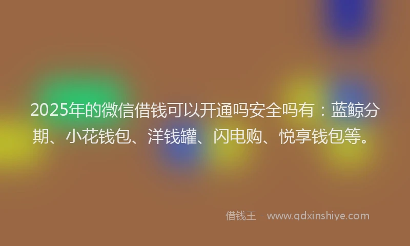 2025年的微信借钱可以开通吗安全吗有：蓝鲸分期、小花钱包、洋钱罐、闪电购、悦享钱包等。