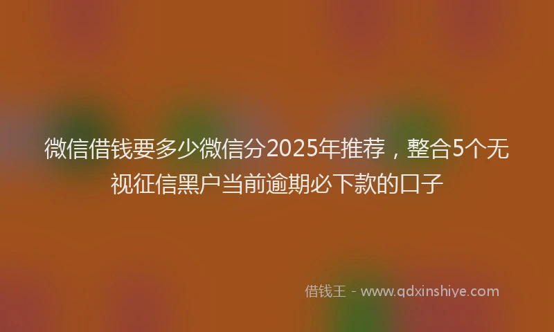 微信借钱要多少微信分2025年推荐，整合5个无视征信黑户当前逾期必下款的口子