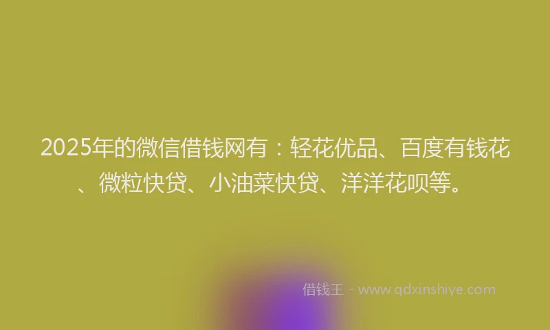 2025年的微信借钱网有：轻花优品、百度有钱花、微粒快贷、小油菜快贷、洋洋花呗等。