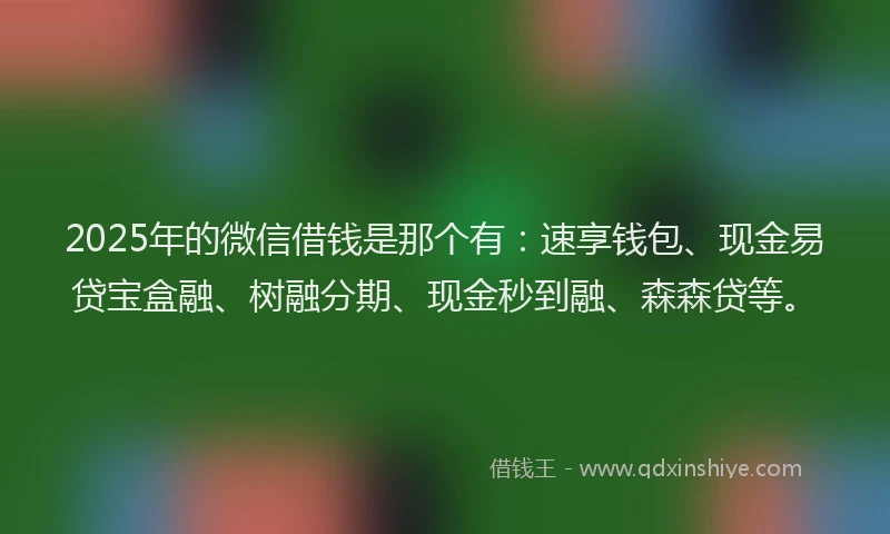 2025年的微信借钱是那个有：速享钱包、现金易贷宝盒融、树融分期、现金秒到融、森森贷等。