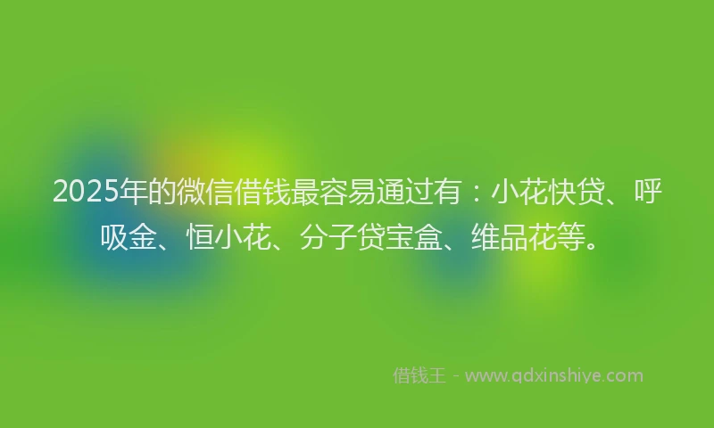 2025年的微信借钱最容易通过有：小花快贷、呼吸金、恒小花、分子贷宝盒、维品花等。