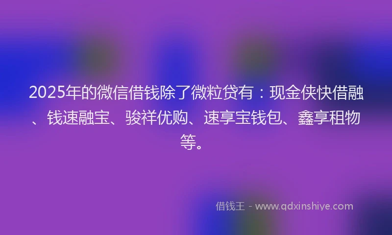 2025年的微信借钱除了微粒贷有：现金侠快借融、钱速融宝、骏祥优购、速享宝钱包、鑫享租物等。