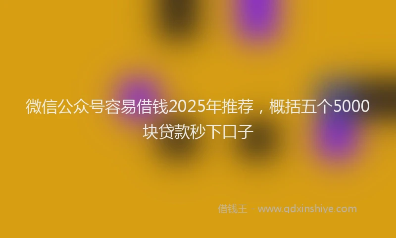 微信公众号容易借钱2025年推荐，概括五个5000块贷款秒下口子