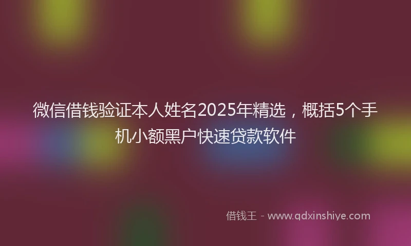 微信借钱验证本人姓名2025年精选，概括5个手机小额黑户快速贷款软件
