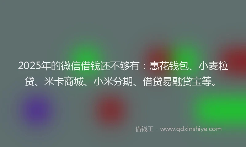 2025年的微信借钱还不够有：惠花钱包、小麦粒贷、米卡商城、小米分期、借贷易融贷宝等。