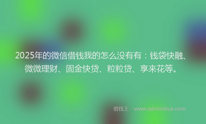 2025年的微信借钱我的怎么没有有：钱袋快融、微微理财、固金快贷、粒粒贷、享来花等。