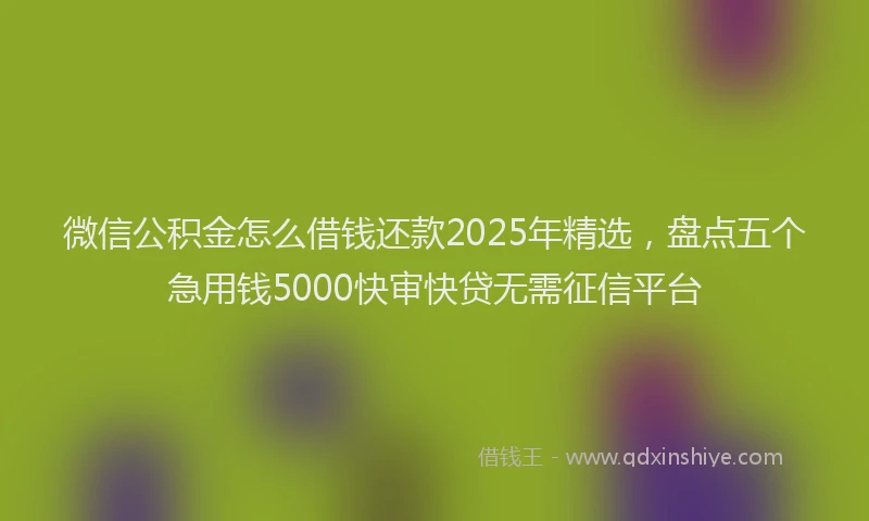 微信公积金怎么借钱还款2025年精选，盘点五个急用钱5000快审快贷无需征信平台