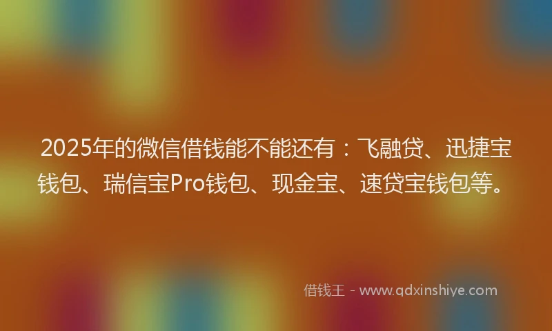 2025年的微信借钱能不能还有：飞融贷、迅捷宝钱包、瑞信宝Pro钱包、现金宝、速贷宝钱包等。
