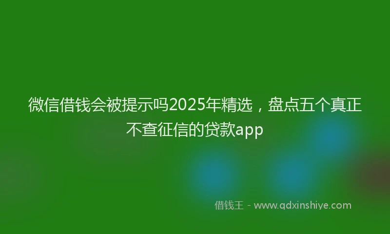微信借钱会被提示吗2025年精选，盘点五个真正不查征信的贷款app