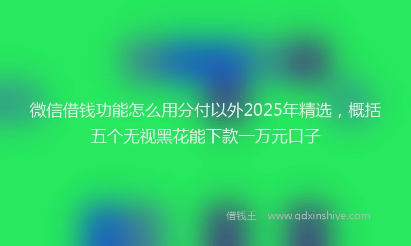 微信借钱功能怎么用分付以外2025年精选，概括五个无视黑花能下款一万元口子