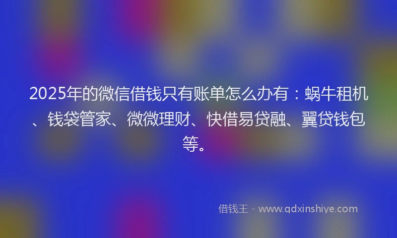 2025年的微信借钱只有账单怎么办有：蜗牛租机、钱袋管家、微微理财、快借易贷融、翼贷钱包等。