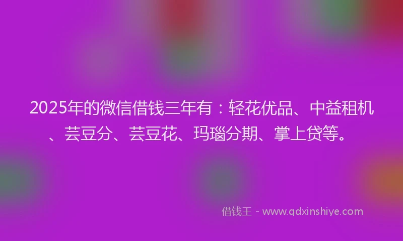 2025年的微信借钱三年有：轻花优品、中益租机、芸豆分、芸豆花、玛瑙分期、掌上贷等。