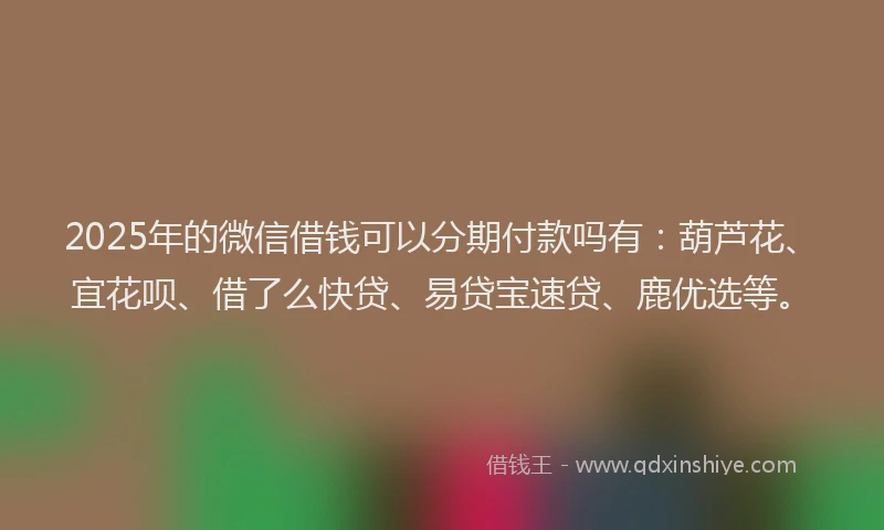 2025年的微信借钱可以分期付款吗有：葫芦花、宜花呗、借了么快贷、易贷宝速贷、鹿优选等。