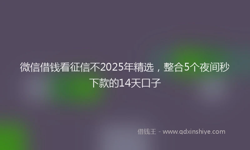 微信借钱看征信不2025年精选，整合5个夜间秒下款的14天口子