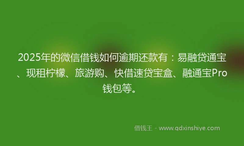 2025年的微信借钱如何逾期还款有：易融贷通宝、现租柠檬、旅游购、快借速贷宝盒、融通宝Pro钱包等。