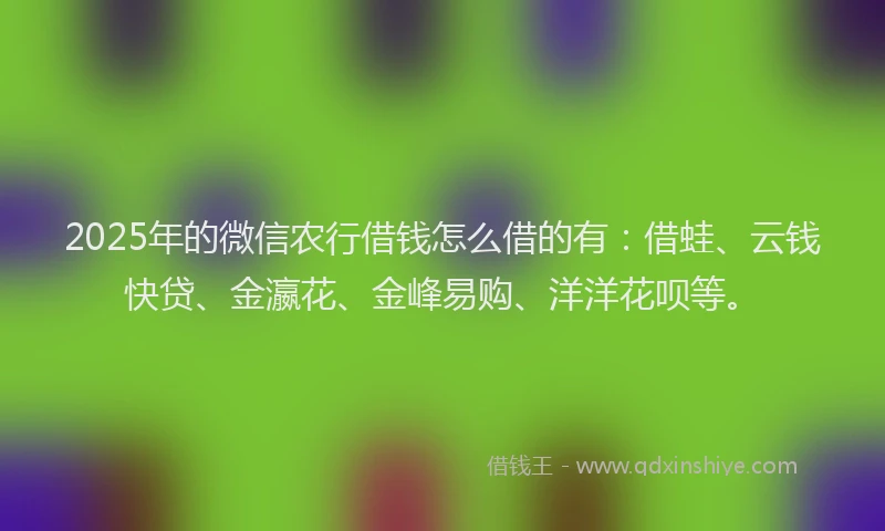 2025年的微信农行借钱怎么借的有：借蛙、云钱快贷、金瀛花、金峰易购、洋洋花呗等。