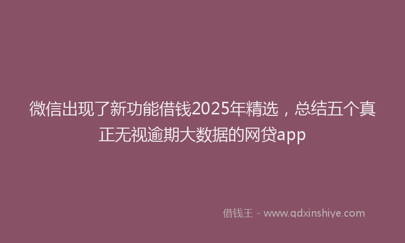 微信出现了新功能借钱2025年精选，总结五个真正无视逾期大数据的网贷app