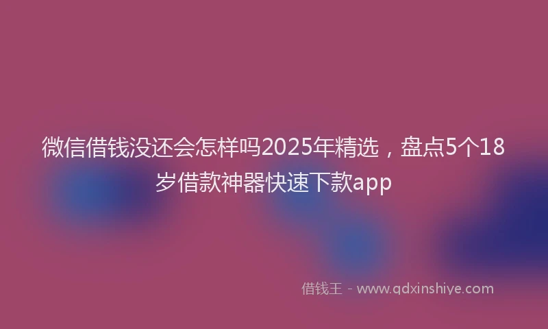 微信借钱没还会怎样吗2025年精选，盘点5个18岁借款神器快速下款app