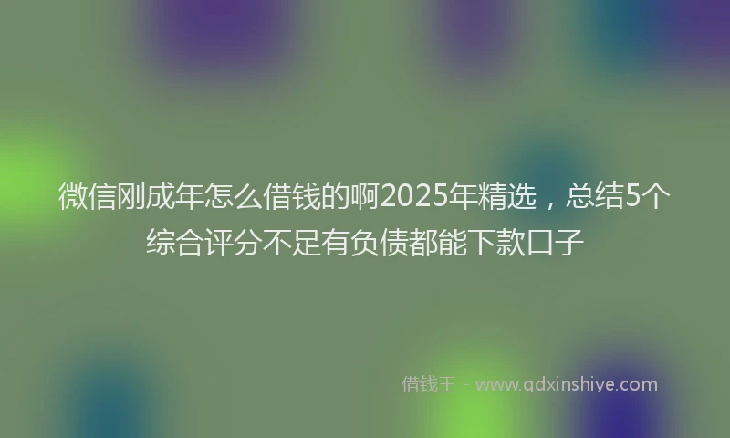 微信刚成年怎么借钱的啊2025年精选，总结5个综合评分不足有负债都能下款口子