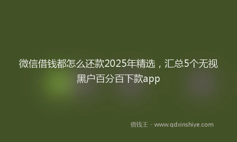 微信借钱都怎么还款2025年精选，汇总5个无视黑户百分百下款app