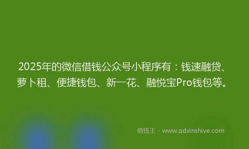 2025年的微信借钱公众号小程序有：钱速融贷、萝卜租、便捷钱包、新一花、融悦宝Pro钱包等。