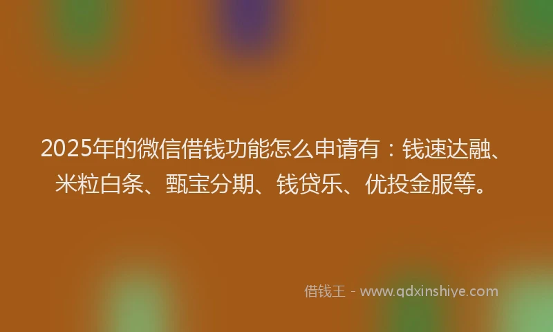 2025年的微信借钱功能怎么申请有：钱速达融、米粒白条、甄宝分期、钱贷乐、优投金服等。