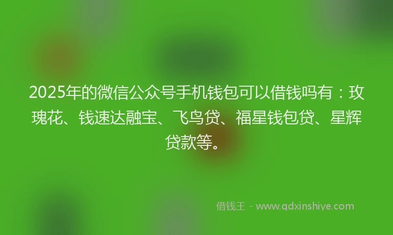 2025年的微信公众号手机钱包可以借钱吗有：玫瑰花、钱速达融宝、飞鸟贷、福星钱包贷、星辉贷款等。