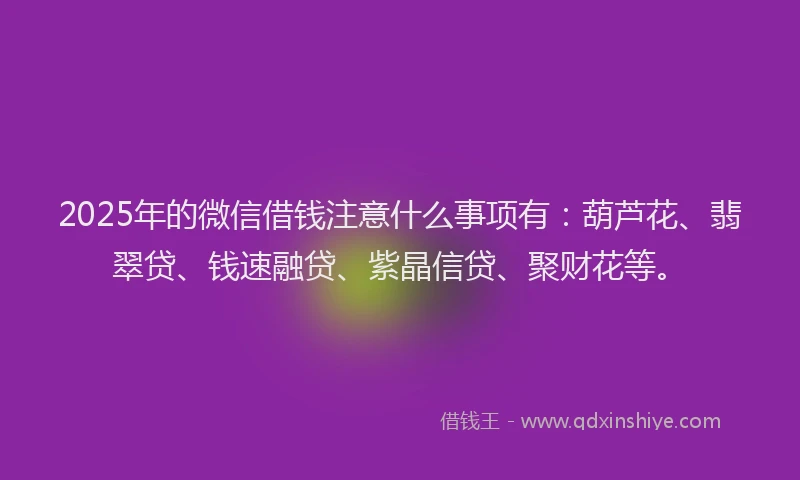 2025年的微信借钱注意什么事项有：葫芦花、翡翠贷、钱速融贷、紫晶信贷、聚财花等。