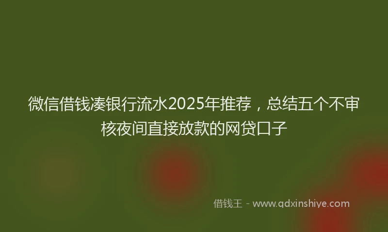 微信借钱凑银行流水2025年推荐，总结五个不审核夜间直接放款的网贷口子