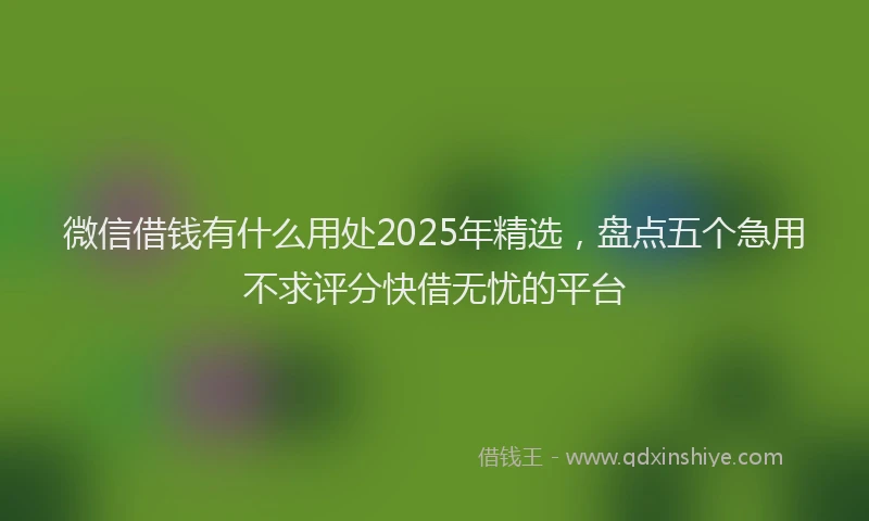 微信借钱有什么用处2025年精选，盘点五个急用不求评分快借无忧的平台