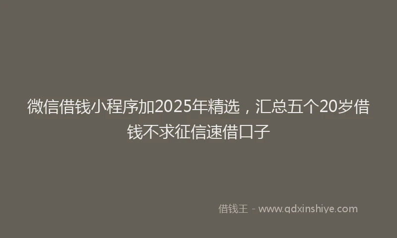 微信借钱小程序加2025年精选，汇总五个20岁借钱不求征信速借口子