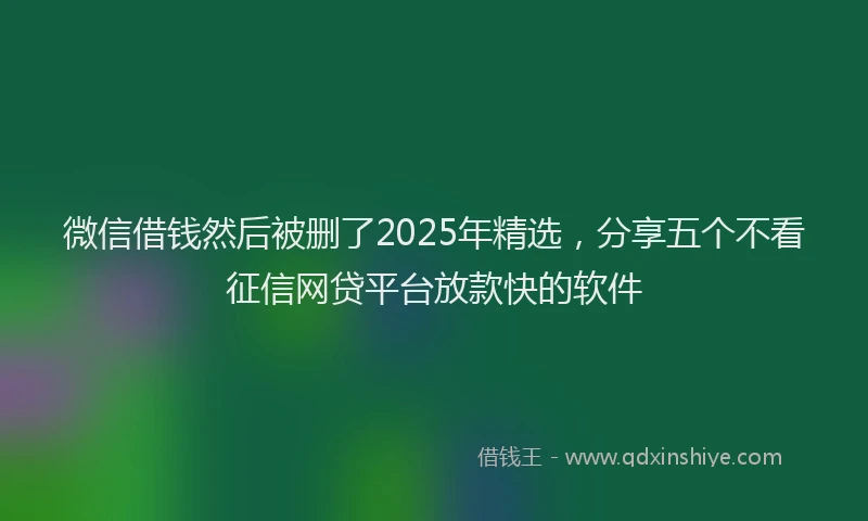 微信借钱然后被删了2025年精选，分享五个不看征信网贷平台放款快的软件
