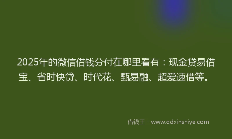 2025年的微信借钱分付在哪里看有：现金贷易借宝、省时快贷、时代花、甄易融、超爱速借等。