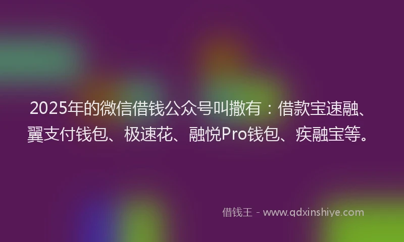 2025年的微信借钱公众号叫撒有：借款宝速融、翼支付钱包、极速花、融悦Pro钱包、疾融宝等。