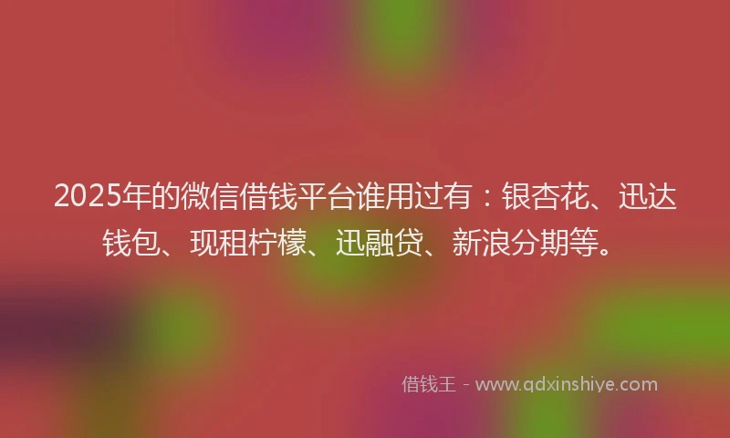 2025年的微信借钱平台谁用过有：银杏花、迅达钱包、现租柠檬、迅融贷、新浪分期等。