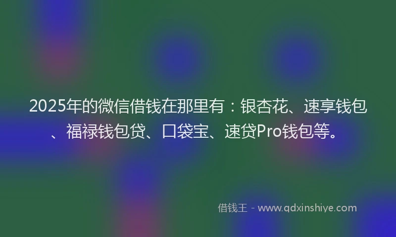 2025年的微信借钱在那里有：银杏花、速享钱包、福禄钱包贷、口袋宝、速贷Pro钱包等。