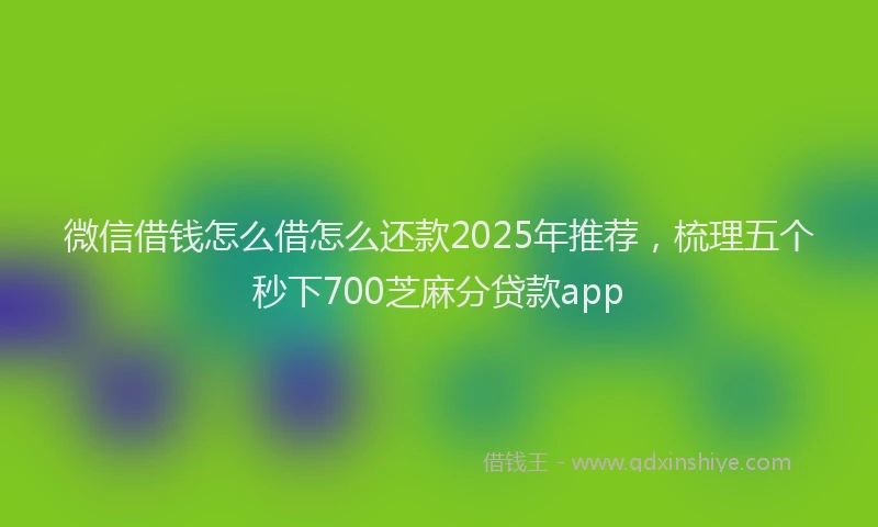 微信借钱怎么借怎么还款2025年推荐，梳理五个秒下700芝麻分贷款app